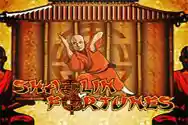 Shaolin Fortunes